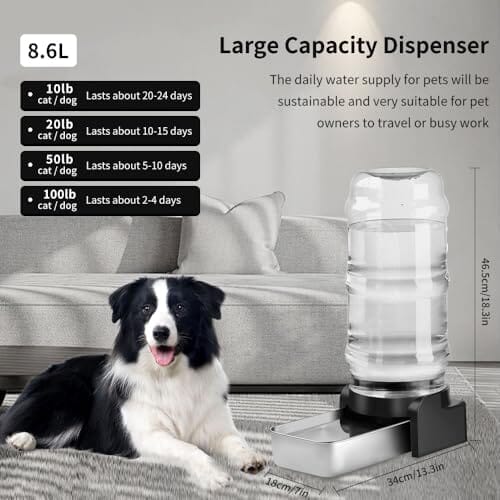 2.3-Gallon Gravity Pet Water Dispenser with Three Filters