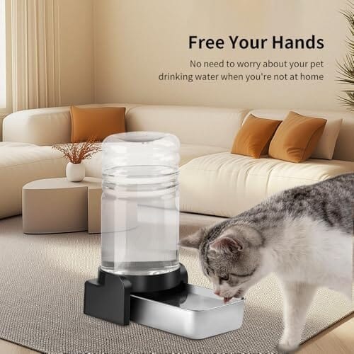 2.3-Gallon Gravity Pet Water Dispenser with Three Filters