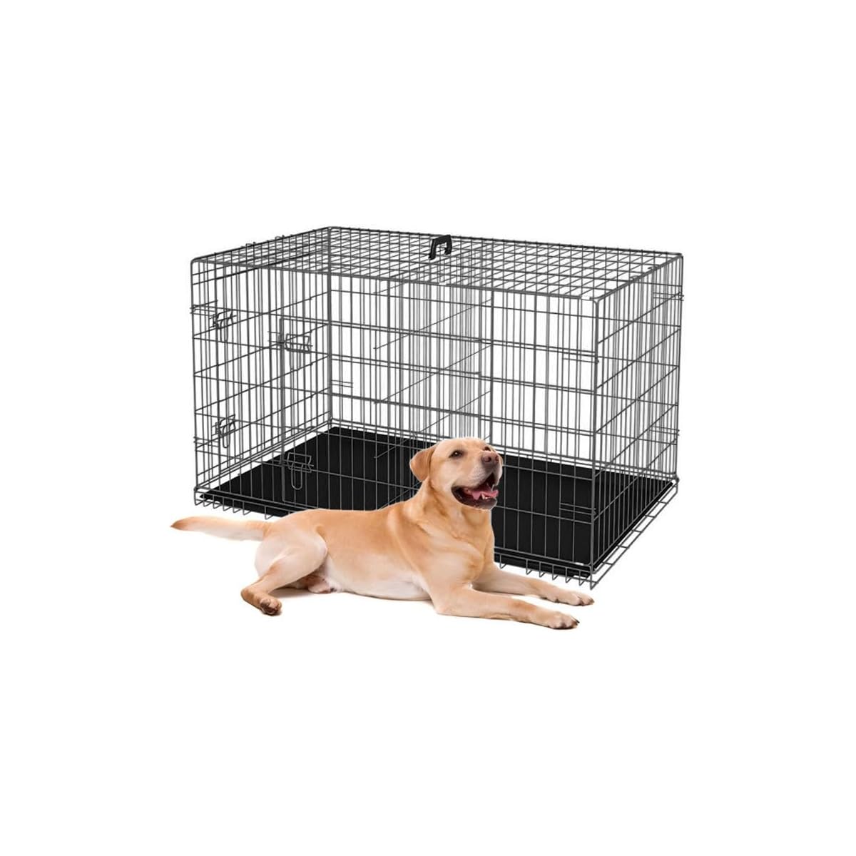 48-Inch Folding Double-Door Metal Dog Crate