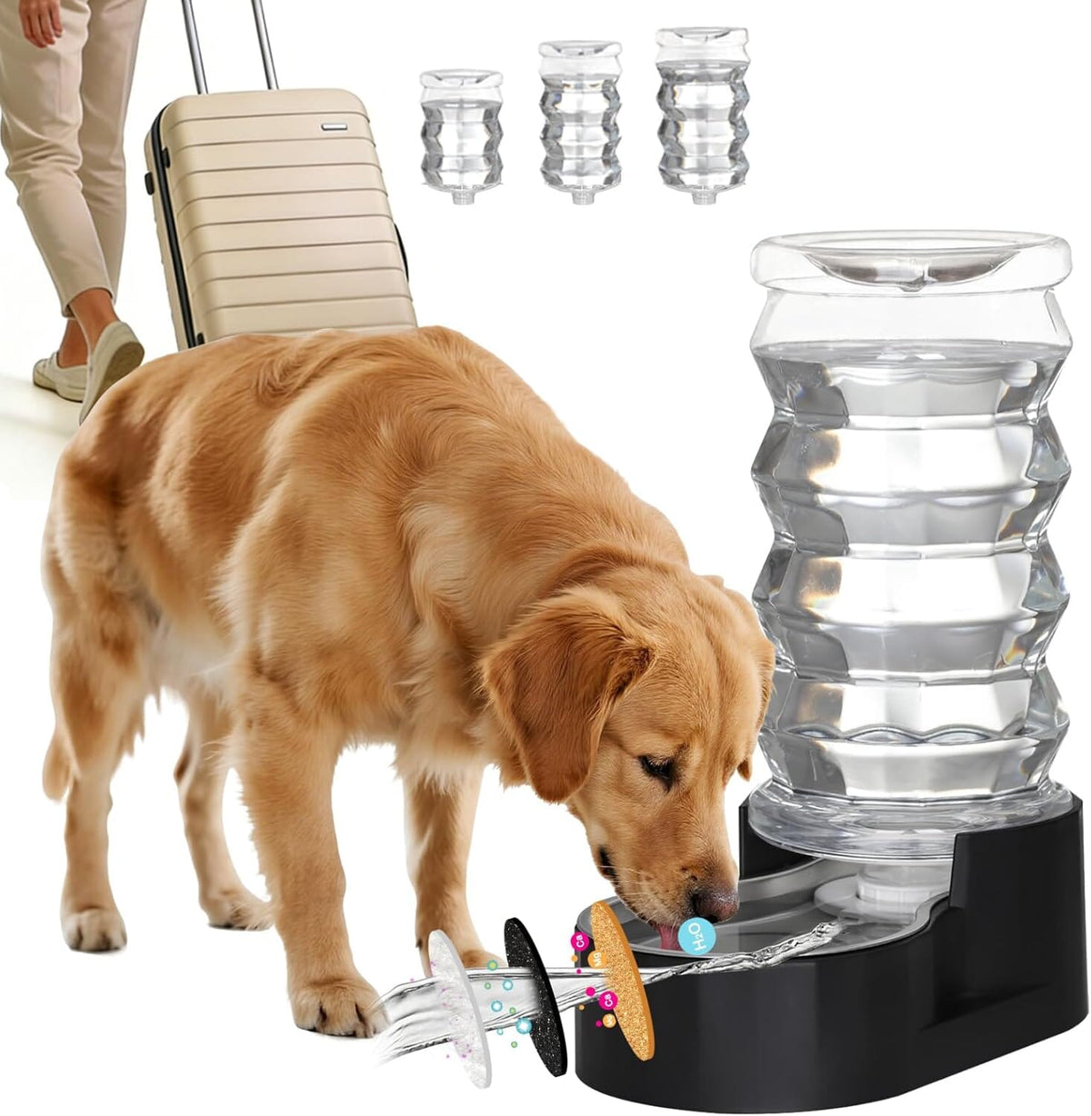8-Liter Gravity Pet Water Dispenser with Stainless Steel Bowl