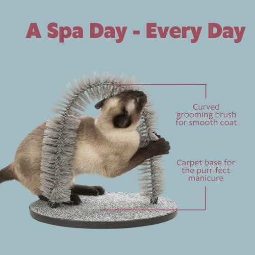 Freestanding Cat Grooming Arch with Scratching Base