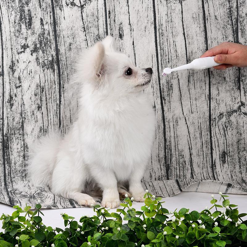 Battery-Operated Pet Toothbrush with Extra Brush Heads