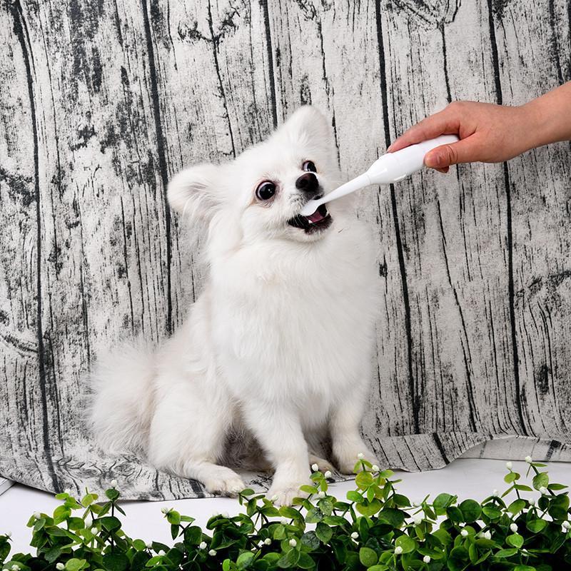 Battery-Operated Pet Toothbrush with Extra Brush Heads