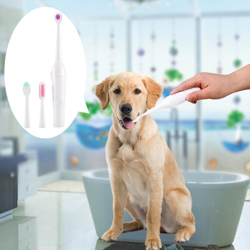 Battery-Operated Pet Toothbrush with Extra Brush Heads