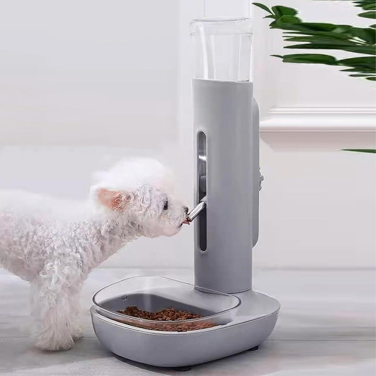 Height-Adjustable Pet Water Dispenser with Stand